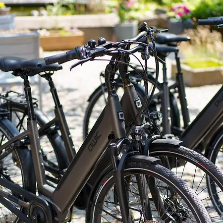 Les Jardins De La Molignee Ξενοδοχείο Ντινάντ