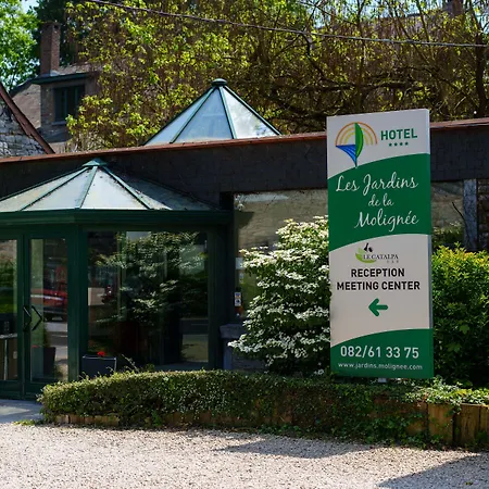 Les Jardins De La Molignee 4* דינאן